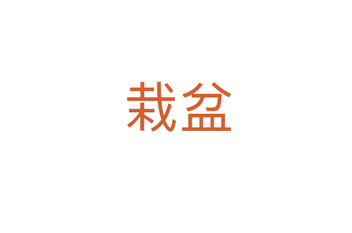 栽盆