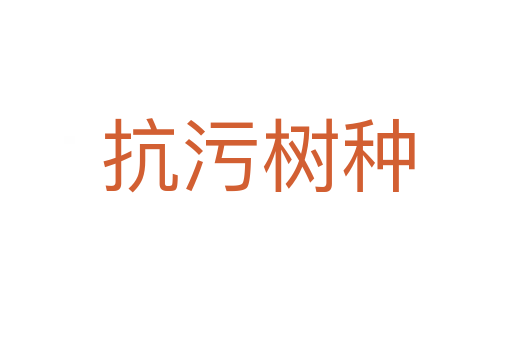 抗污树种