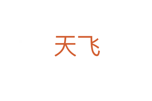 天飞