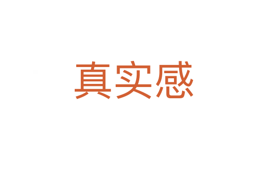 真实感