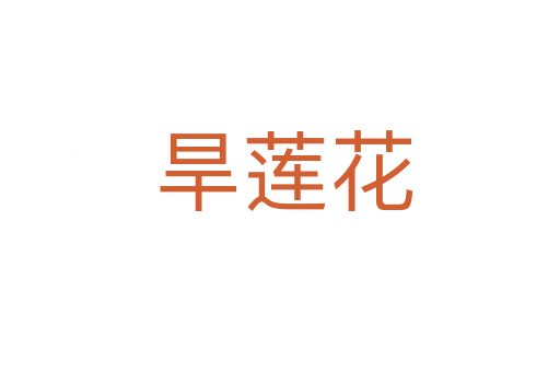 旱莲花