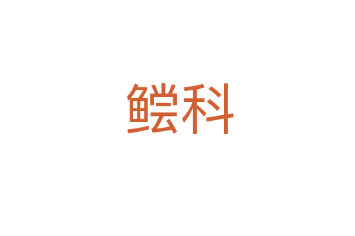鲿科