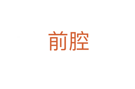 前腔