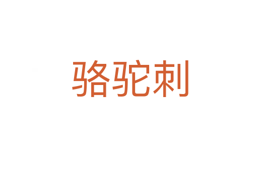 骆驼刺