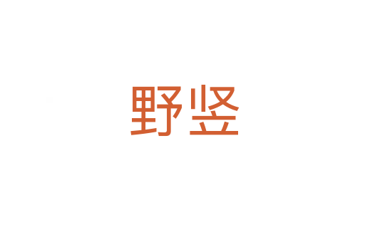 野竖