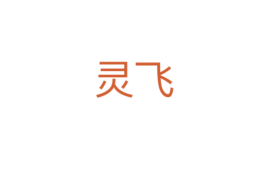 灵飞