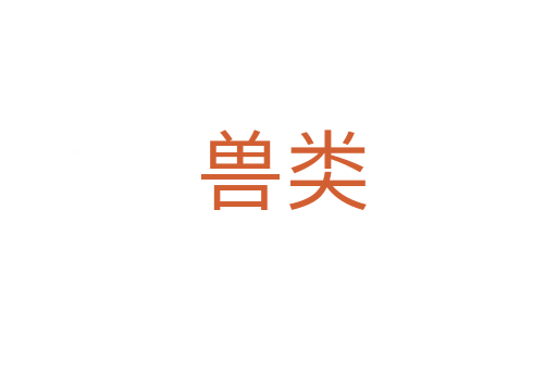 兽类