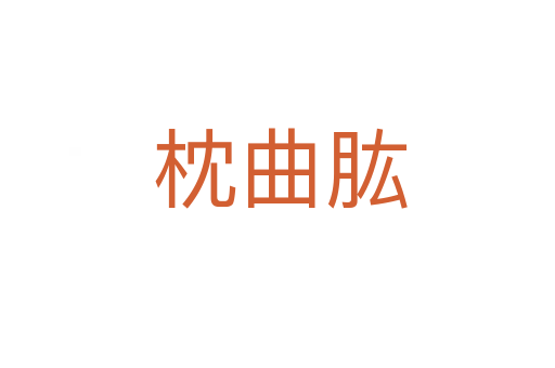 枕曲肱