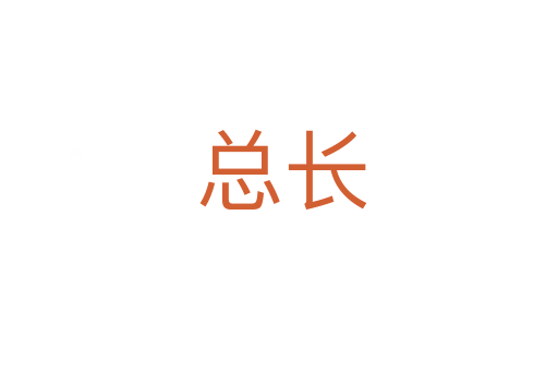 总长