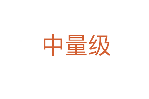 中量级