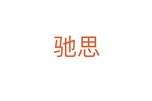 驰思