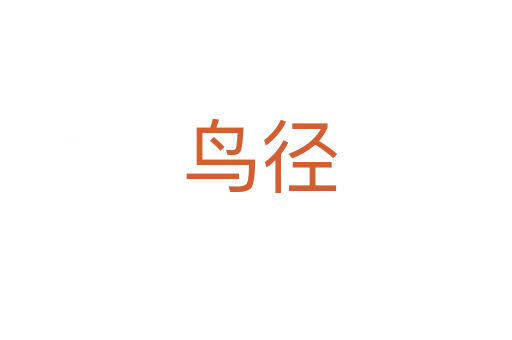 鸟径