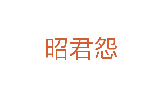昭君怨