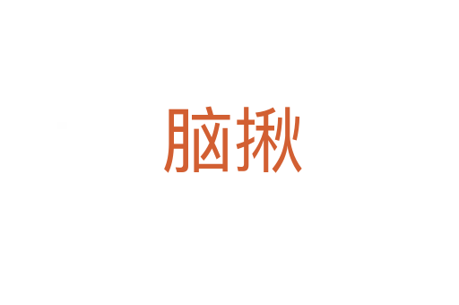 脑揪