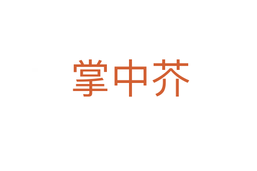 掌中芥