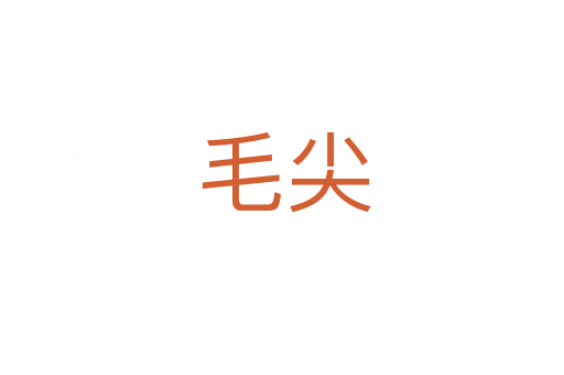 毛尖