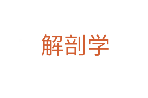 解剖学