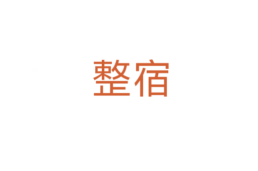 整宿