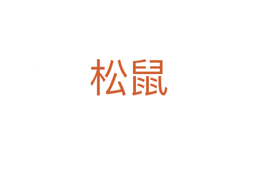 松鼠
