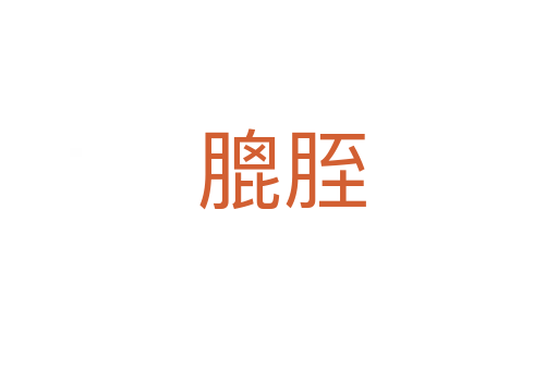 膍胵