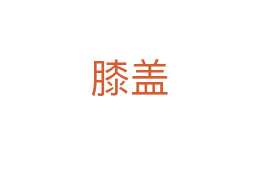 膝盖