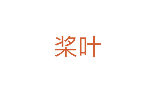 桨叶