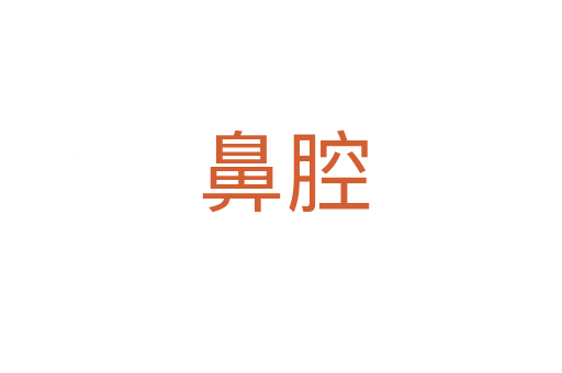 鼻腔