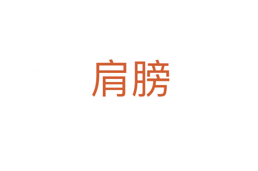 肩膀