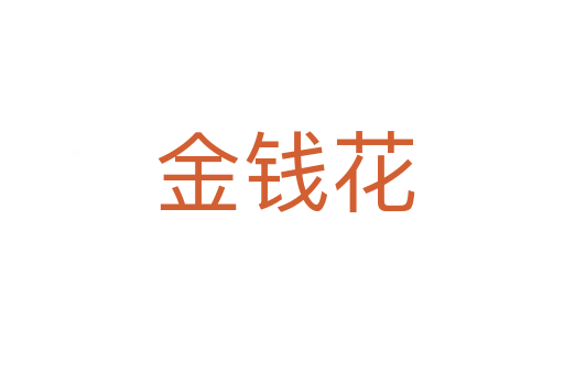 金钱花