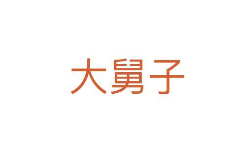 大舅子