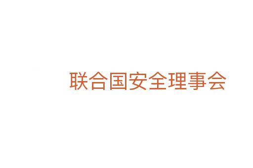 联合国安全理事会