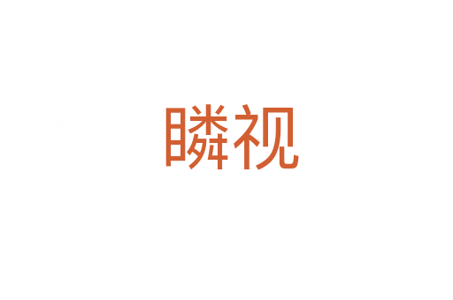 瞵视