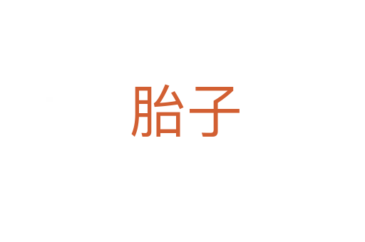 胎子