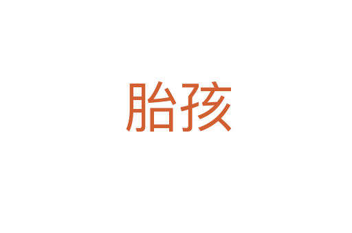 胎孩