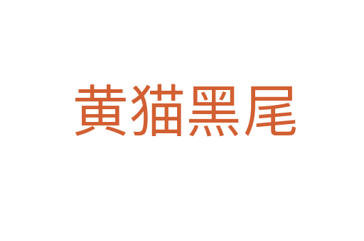 黄猫黑尾