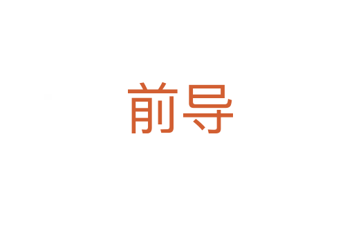 前导