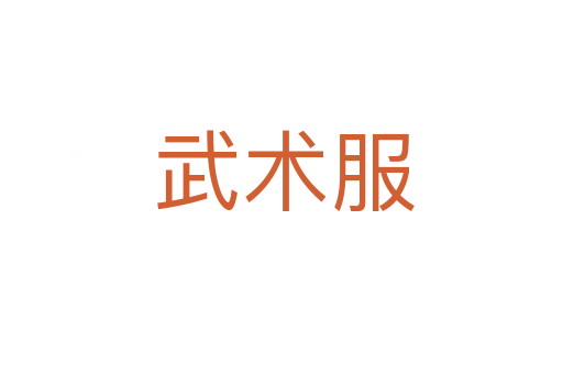 武术服