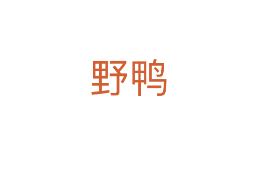 野鸭