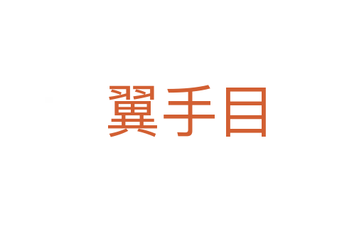 翼手目