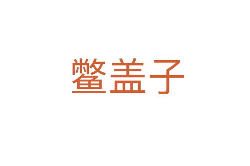 鳖盖子
