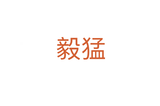 毅猛