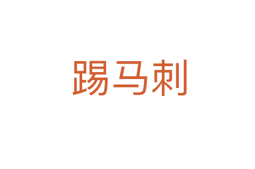 踢马刺