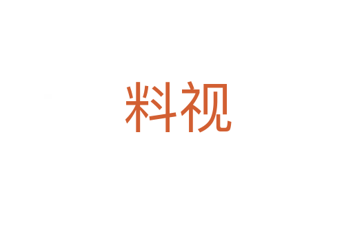 料视