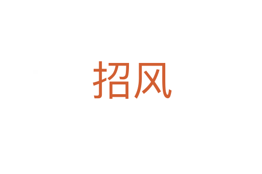 招风