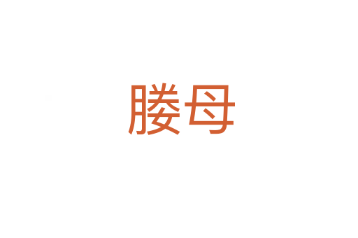 媵母