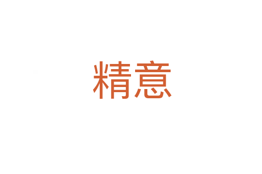 精意