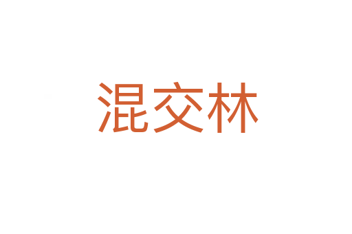 混交林