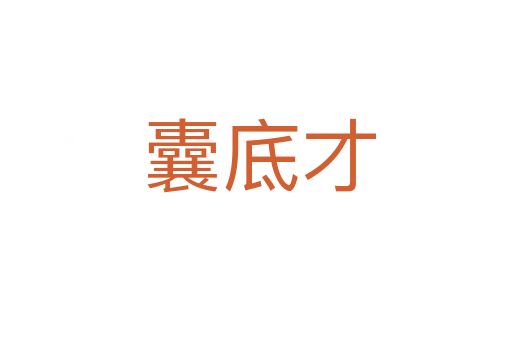 囊底才