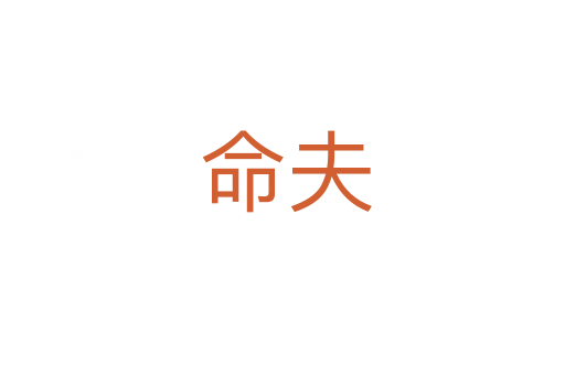 命夫
