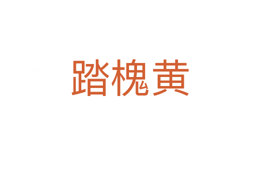 踏槐黄